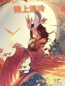 锦上添泠