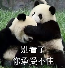 穿成了虐文女主
