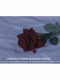 重生之美男在怀