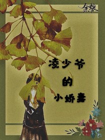 凌少爷的小娇妻（校园篇）