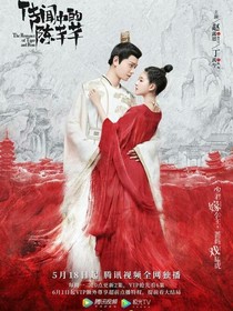 传闻中的陈芊芊：君亦恋