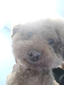我突然就无敌啦？