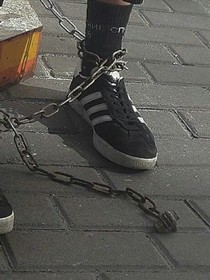 他的笼中之鸟