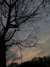 你见过秋天的日出吗