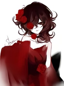 泽木而栖正版