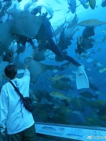 EXO：水周