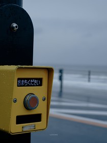 我听闻，你始终一个人