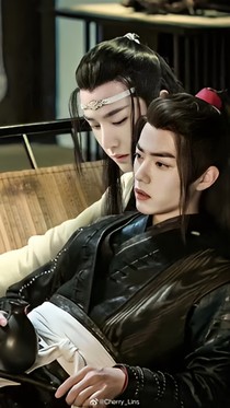我是魏无羡的驴