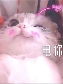 同人合集