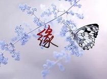 时代易安:缘