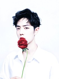 陈情令:辞心挽情-d041