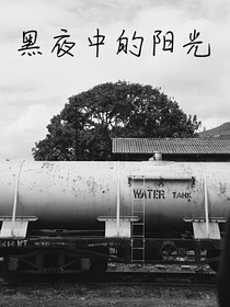 黑夜中的阳光