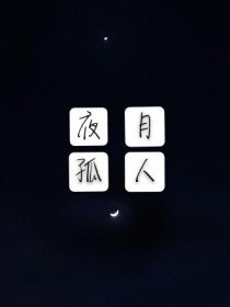 夜月孤人