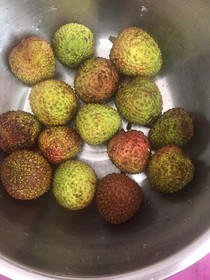 月下美人修炼