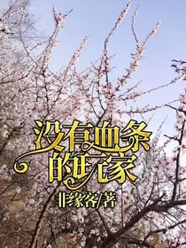 没有血条的玩家