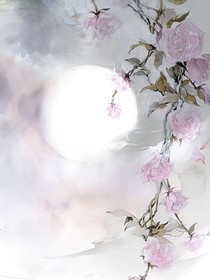 花妹妹的一生