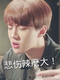EXO：我的十一個弟弟