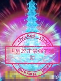 攻击最强的辅助？