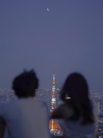 假若星辰闪烁