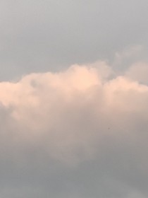 悻芸志