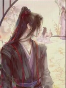 陳情令之了了仙途（后續(xù)）
