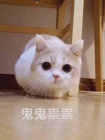 渣渣反（故意寫兩個(gè)的）-d550