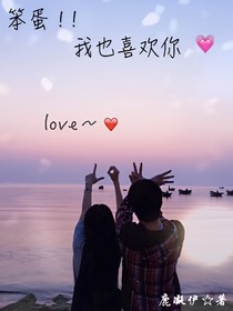 笨蛋！！我也喜欢你