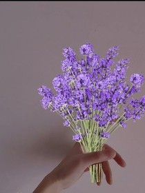 穿越。。