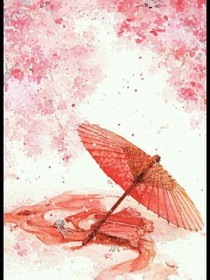 灵浅诺梦