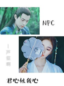 NPC:君心似我心