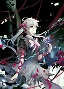 查理九世：殘缺