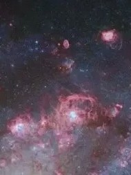 学院生活：白凌羽的生活-d575