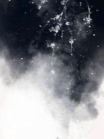 戰(zhàn)哥與他的千金小姐