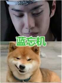 陳情令!