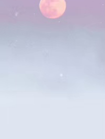 你是我的温柔以待