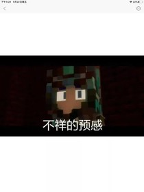 心态爆炸（慎看）