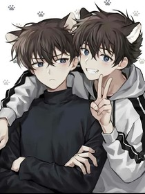 专写小故事