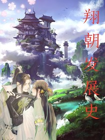 翔朝发展史