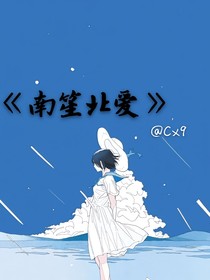 南笙北爱