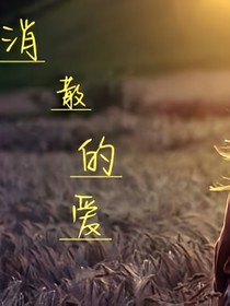 消散的爱