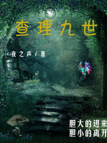 查理九世 （精靈廟）