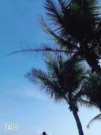 周杰倫林俊杰之比武招親