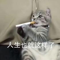 老子不谈恋爱