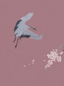 重生之我爱男配
