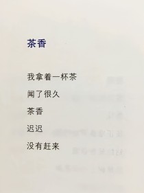 夏天遇星辰