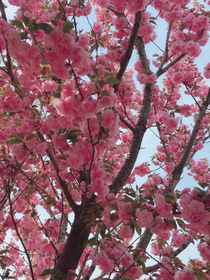 一群小屁孩