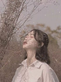 闪亮的夜晚没有你
