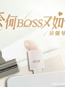 奈何BOSS又如何