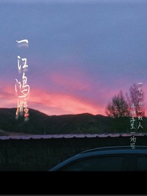 一江鸿雁