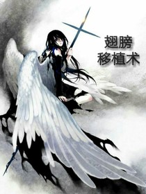 翅膀移植術